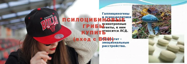прущая мука Козловка
