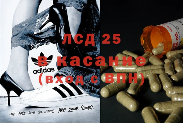 spice Козельск
