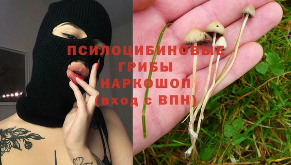 spice Козельск