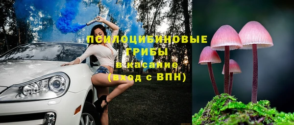 прущие грибы Ладушкин