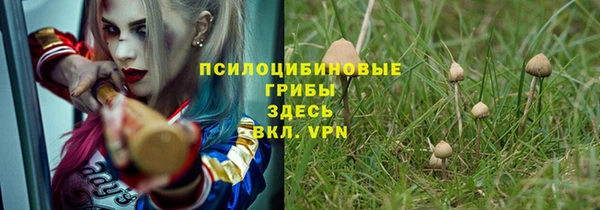 прущая мука Козловка