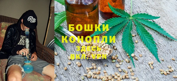 spice Козельск